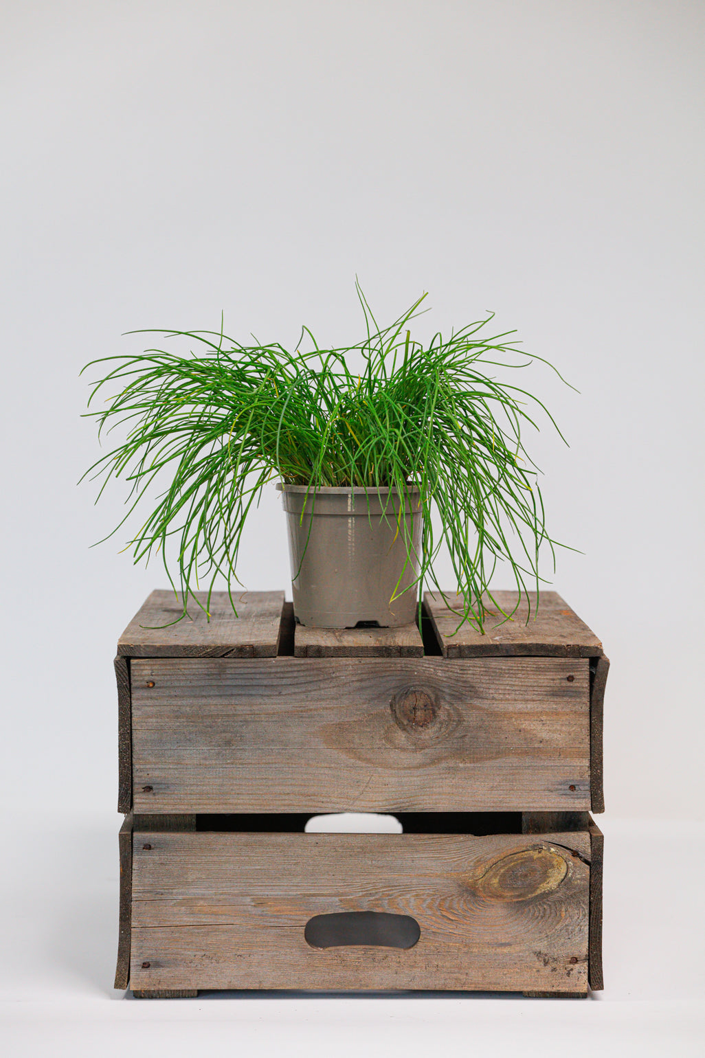 products/SotoProductShootLowQ-1730.jpg